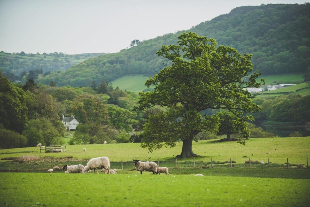 Hotel Caer Rhun Hall Conwy